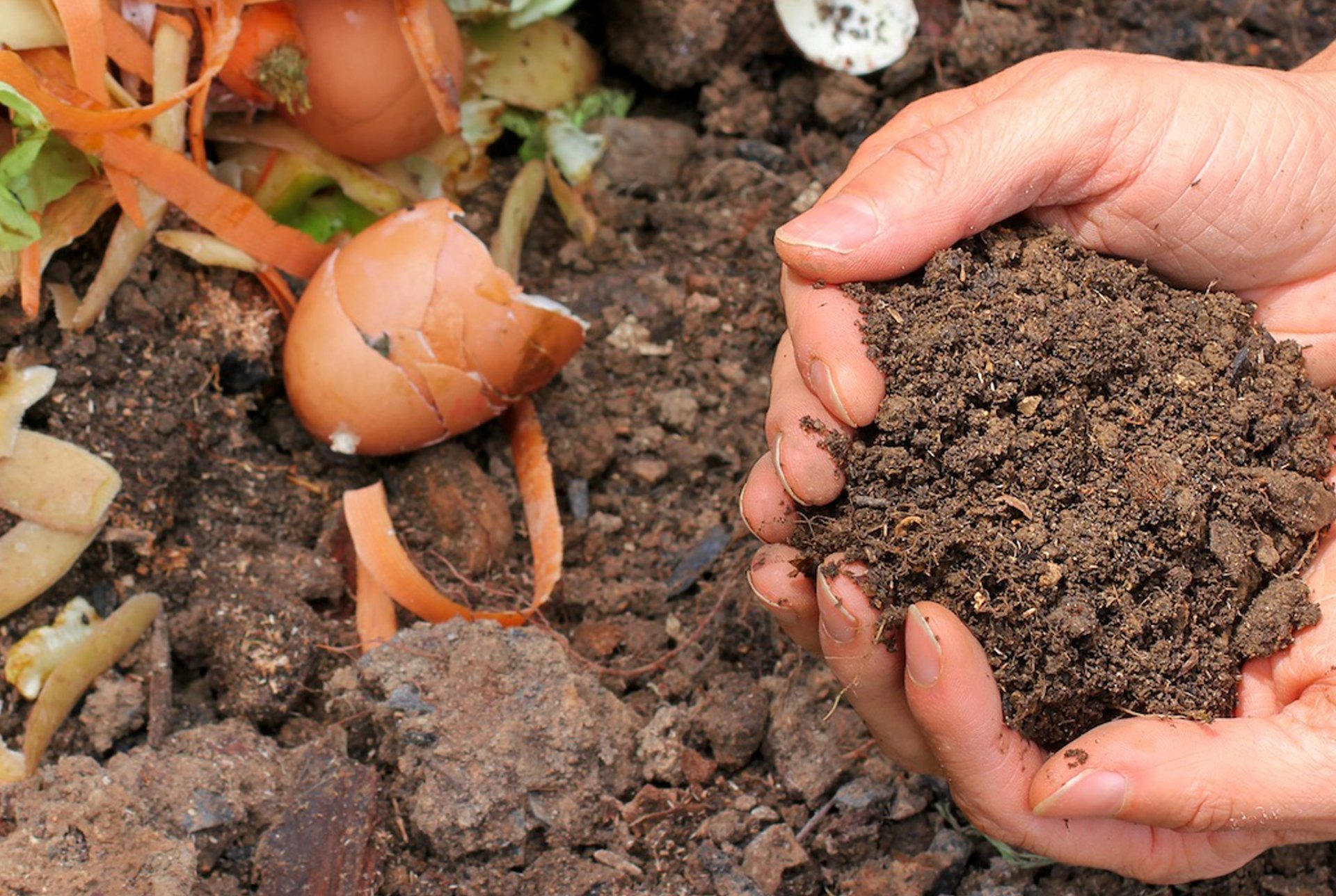 Compostaggio domestico