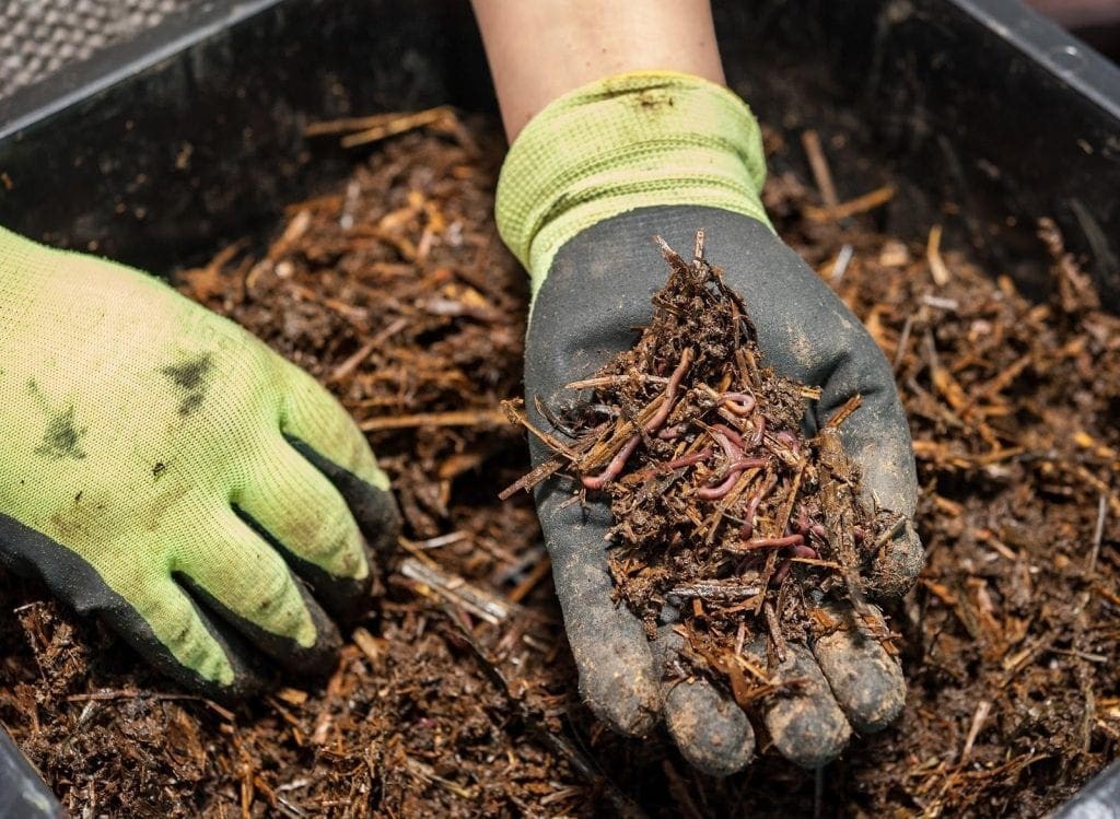 Compostaggio domestico